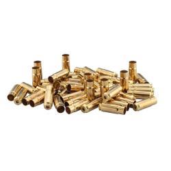 &Eacute;tuis Laiton Starline Arme Longue x50 Blister .50-70 GOVT