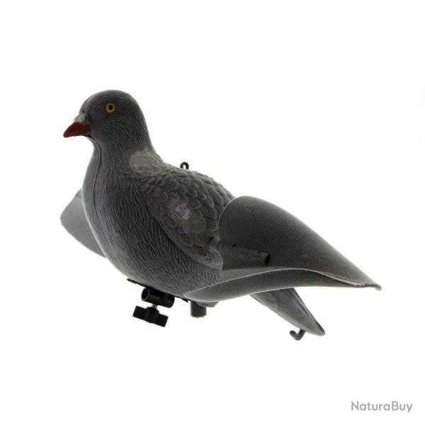 Appelant pigeon ailes tournantes