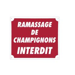 Panneau ''Ramassage de champignons interdit'' 30 x 25 cm Aluminium