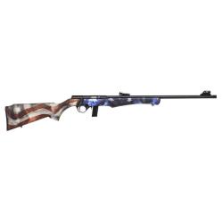 Carabine Rossi 8122 22LR USA