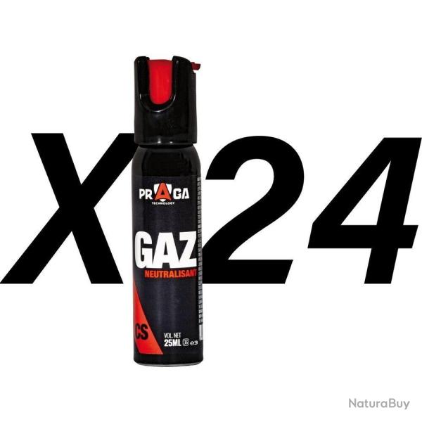 Pack Bombe Gaz Cs 25ML X24