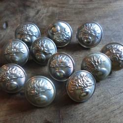 lots x 11  boutons  argent&eacute;  uniforme  infanterie