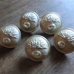 lots x 5  boutons  dor&eacute;  pour uniforme  infanterie