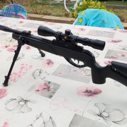 gamo hpa IGT 19.9 joules