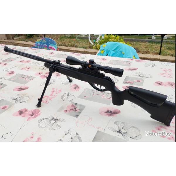 gamo hpa IGT 19.9 joules