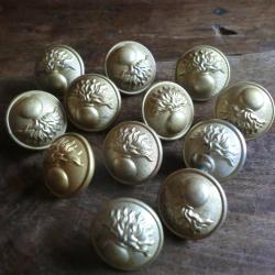 lots x 12  boutons  dor&eacute;  pour uniforme infanterie