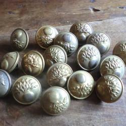 lots x 17  boutons  dor&eacute;  pour uniforme infanterie