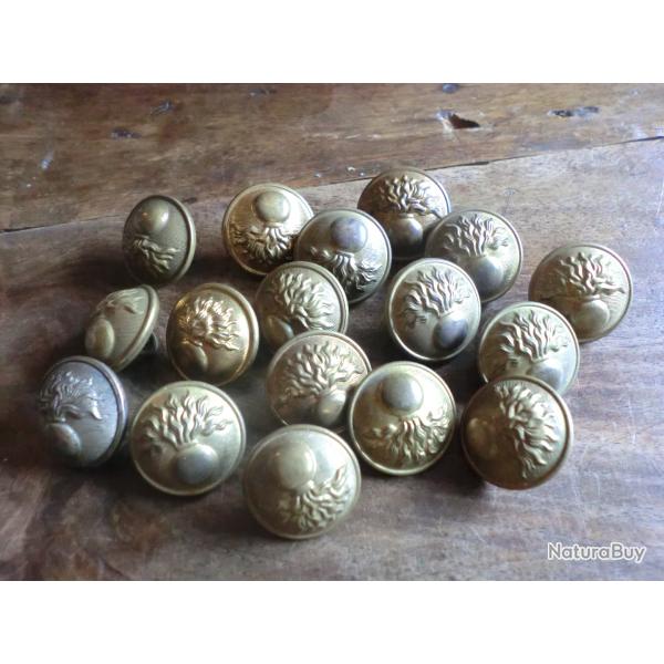 lots x 17  boutons  dor�  pour uniforme infanterie
