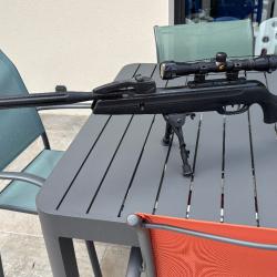 Carabine &Agrave; Air Comprim&eacute; Gamo Igt Viper Pro 10X 20 joules