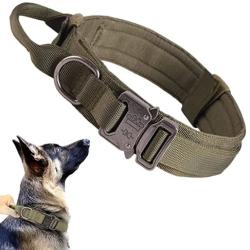 Collier Tactique Chien VERT | TXC ARMEMENT