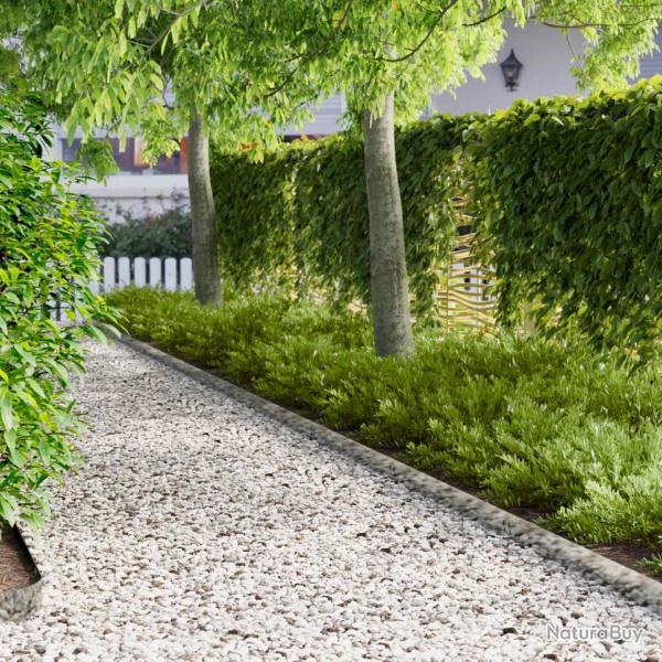 Bordure de Pelouse 10 pcs 100 x 12 cm Acier Argent�