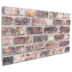 Panneaux muraux 10 pcs Marron fonc&eacute; 100 x 50 cm Mousse EPS