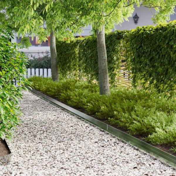 Bordure de Pelouse 10 pcs 100 x 10 x 8 cm Acier Argent�