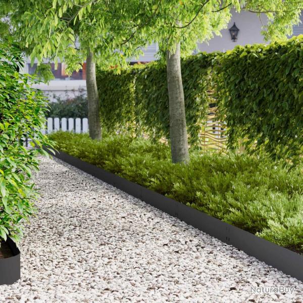 Bordure de Pelouse 10 pcs 100 x 20 cm Acier Noir