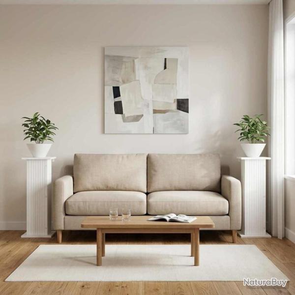 Support de Plante 2 pcs Blanc 30,5 x 30 x 80,5 cm