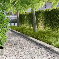 Bordure de Pelouse 30 pcs 102 x 15 x 4 cm Acier Argent&eacute;