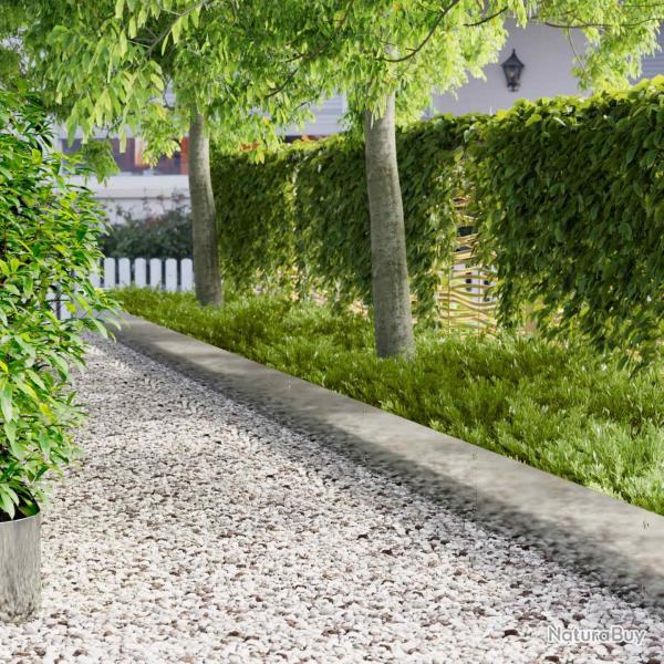 Bordure de Pelouse 20 pcs 103 x 30 cm Acier Argent�