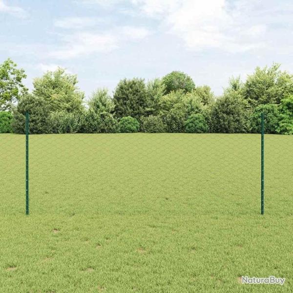 Cl�ture hexagonale avec poteau 25 x 1 m Acier recouvert de PVC