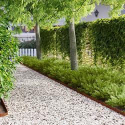 Bordure de Pelouse 20 pcs 102 x 4 x 4 cm Acier Rouill&eacute;