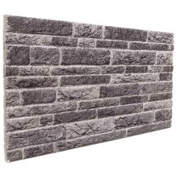 Panneaux muraux 10 pcs Anthracite 100 x 50 cm Mousse EPS
