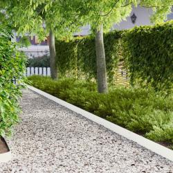 Bordure de Pelouse 20 pcs 103 x 15 cm m&eacute;tal Blanc