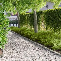 Bordure de Pelouse 20 pcs 103 x 10 cm Acier Argent&eacute;