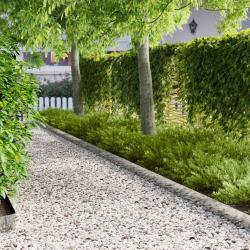 Bordure de Pelouse 20 pcs 102 x 10 x 4 cm Acier Argent&eacute;