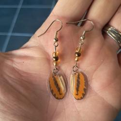 Paire de boucles d'oreilles de vraies ailes de papillon #12