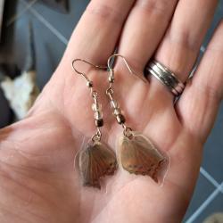 Paire de boucles d'oreilles de vraies ailes de papillon #13