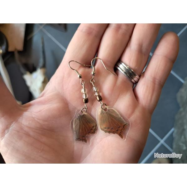 Paire de boucles d'oreilles de vraies ailes de papillon #13