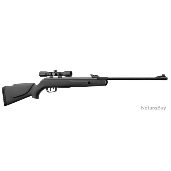 GAMO BIG CAT 1000E + LUNETTE - 19.9J