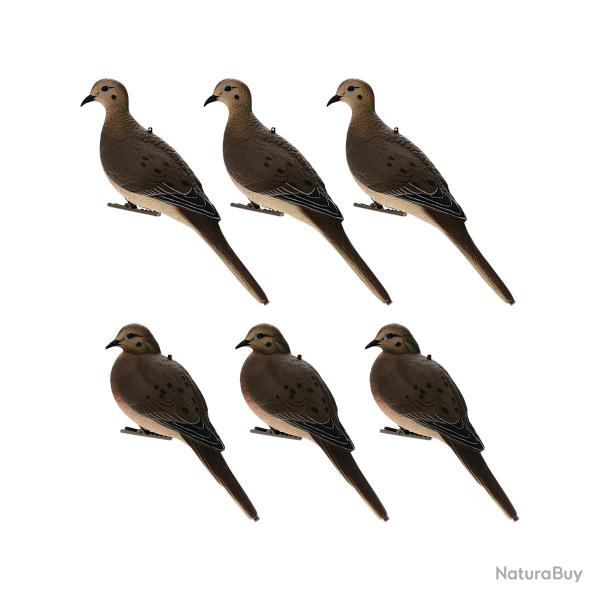 Formes de tourterelles x6 AXP FULL BODY - AVIANX