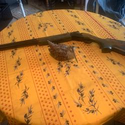 Fusil Trap Huglu kooperatifi12ga