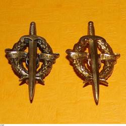 LOT DE 2 Brevets de Pr&eacute;paration Militaire El&eacute;mentaire, dor&eacute; et argent&eacute;s  ,  FABRICANT ARTHUS BERTRAN