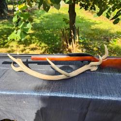 Carabine semi automatique Marlin M60 22 LR