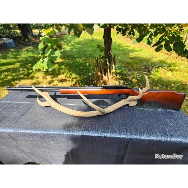 Carabine semi automatique Marlin M60 22 LR