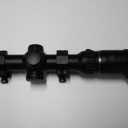 Lunette de BATTUE  BURRIS Fout XE 1-4X24