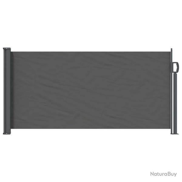 Store lat�ral r�tractable Anthracite 300 x 100 cm Polyester
