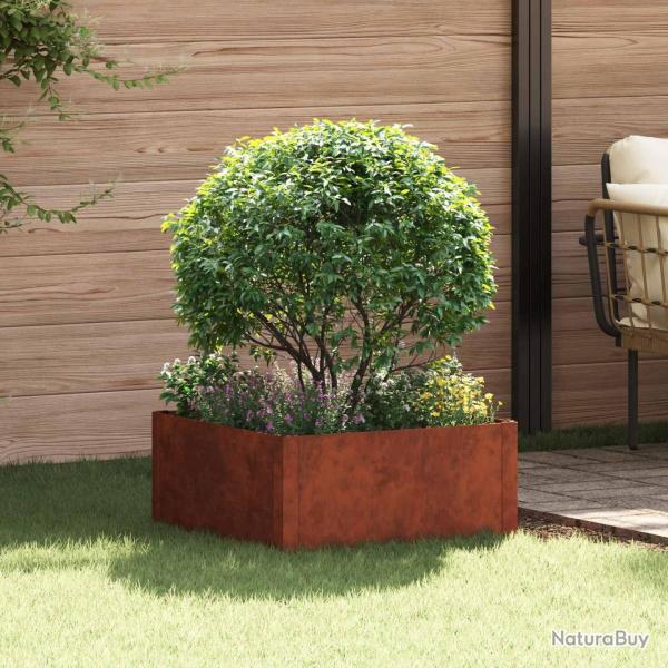Bordure de Pelouse 60 x 60 x 35 cm Acier Rouill�