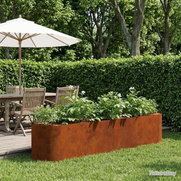 Jardin sur�lev� Acier patin� 200 x 40 x 40 cm