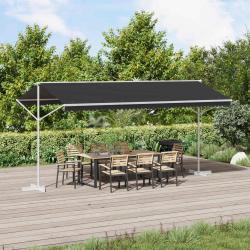 Auvent autoportant Anthracite 5 x 3 m Polyester