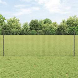 Cl&ocirc;ture en fil soud&eacute; avec poteaux 25 x 0,8 m Gris Maille