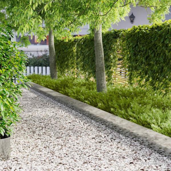 Bordure de Pelouse 10 pcs 103 x 25 cm Acier Argent�