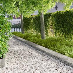 Bordure de Pelouse 10 pcs 100 x 18 cm Acier Argent&eacute;