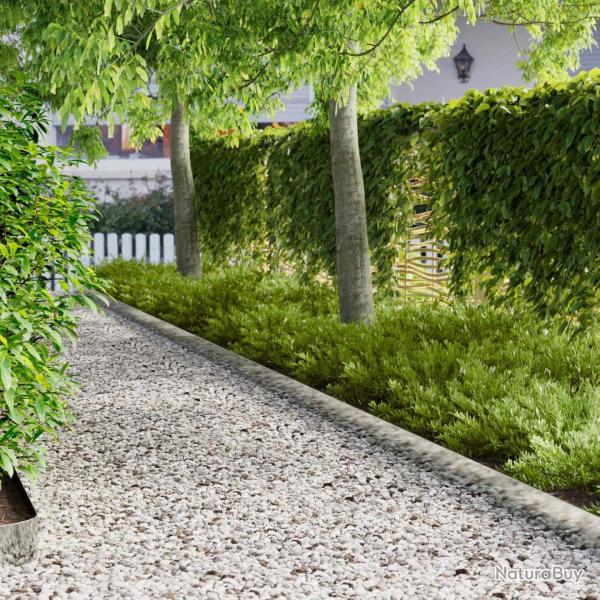 Bordure de Pelouse 10 pcs 100 x 15 cm Acier Argent�