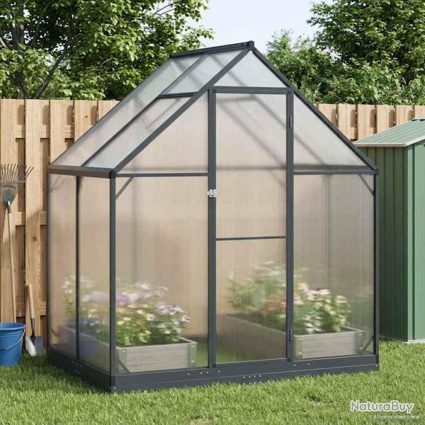 Serre de jardin avec porte Anthracite 183,5 x 123 x 207 cm