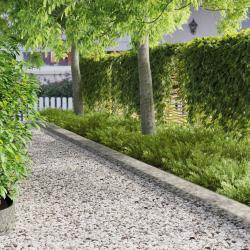 Bordure de Pelouse 10 pcs 103 x 20 cm Acier Argent&eacute;
