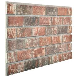 Panneaux muraux 10 pcs Marron fonc&eacute; et gris 100 x 50 cm
