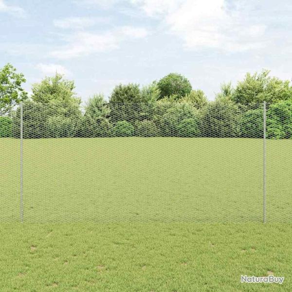 Cl�ture hexagonale avec poteau 10 x 1,6 m Acier galvanis�