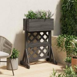Trellis de jardin vertical Gris 48 x 30 x 70,5 cm